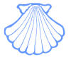Camino shell logo